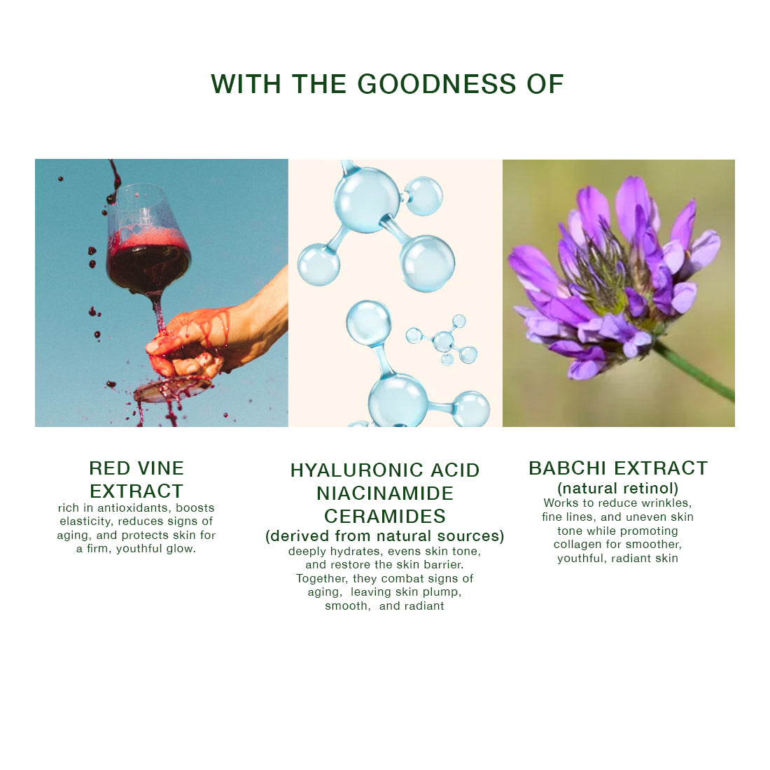 REVITALISING ANTI AGING FACE SERUM